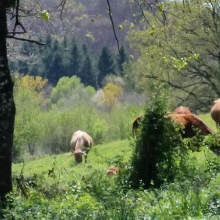 Bed and Breakfast Combecave Vabre-Tizac Esterno foto
