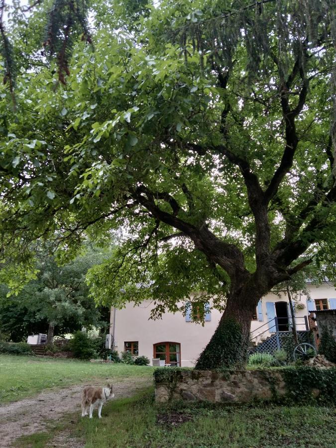 Bed and Breakfast Combecave Vabre-Tizac Esterno foto