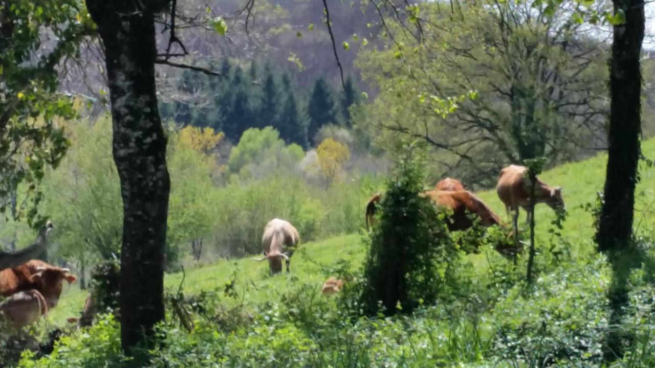 Bed and Breakfast Combecave Vabre-Tizac Esterno foto
